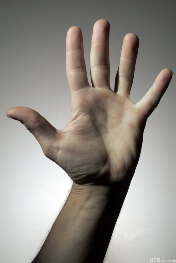 Åpen hånd med fem fingrer. Foto.