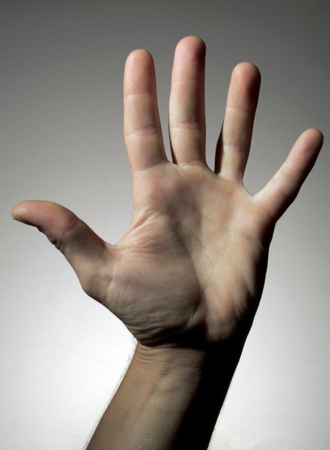 Åpen hånd med fem fingrer. Foto.
