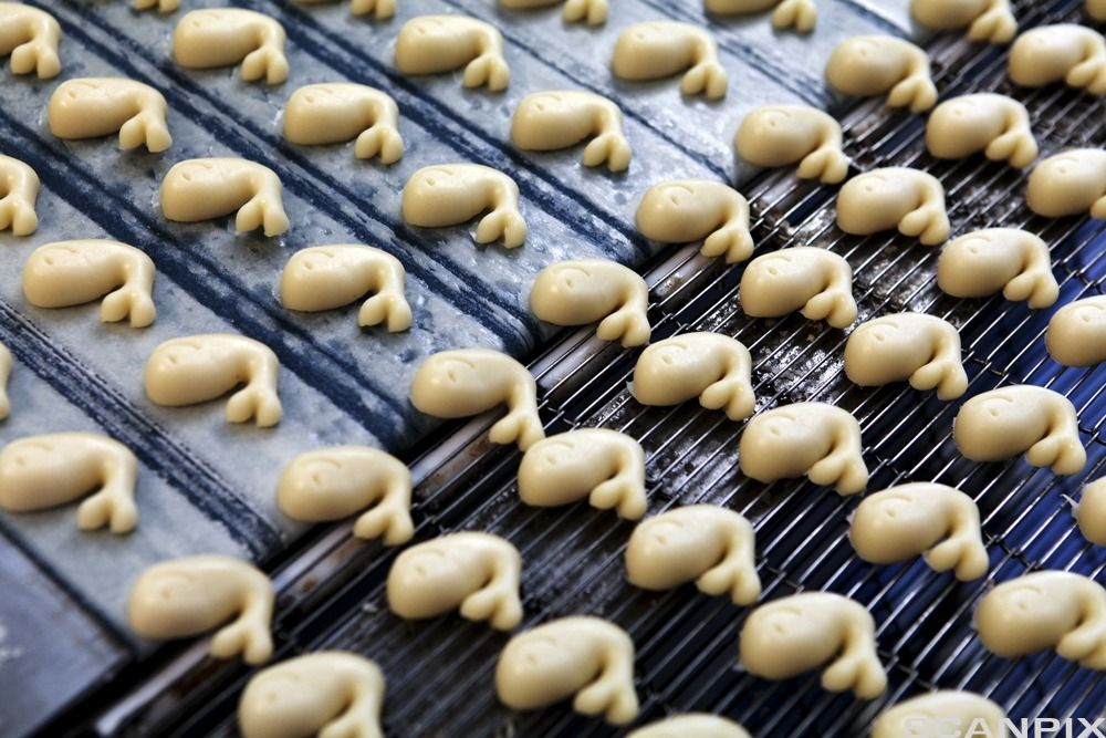 Fotografi som viser marsipansjokolader fra Hval Sjokoladefabrikk på samlebånd. 