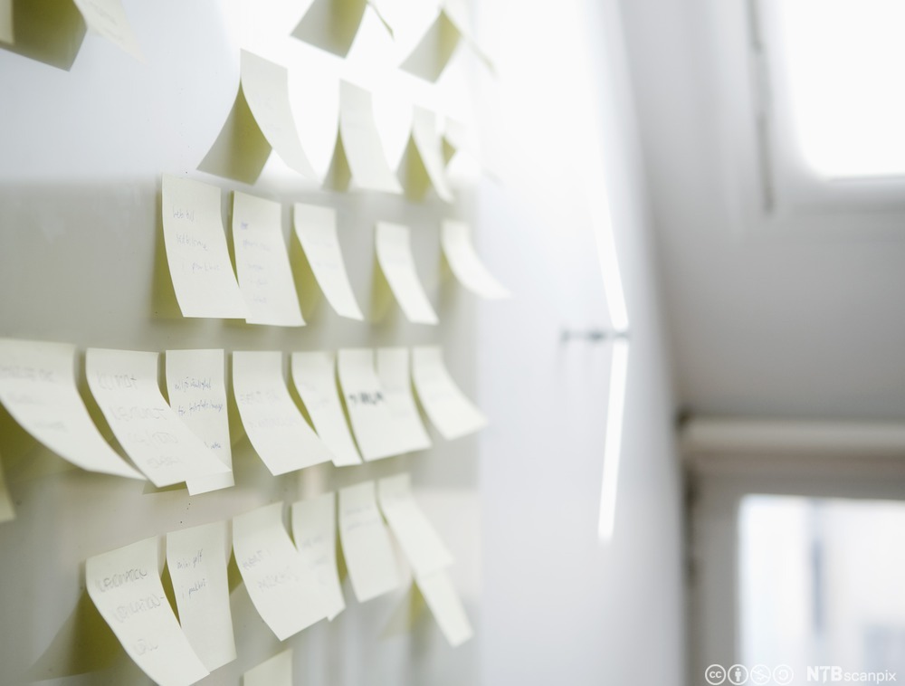 Tavle med post-it-lapper. Foto.