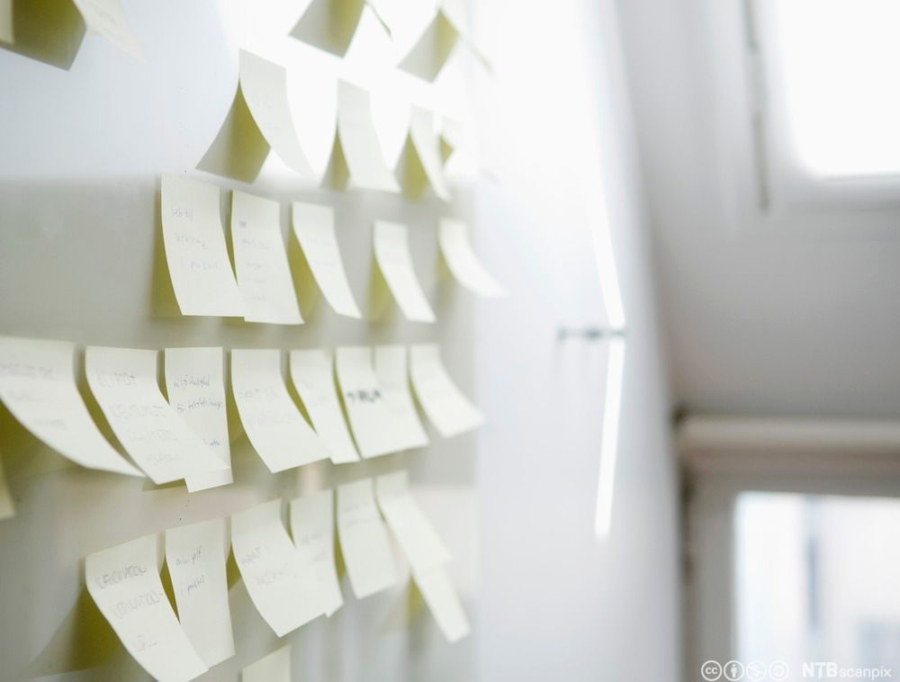 Hvit tavle med post-it-lapper. Foto.