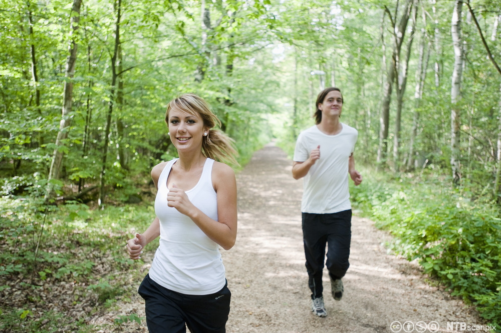 To ungdommar joggar i skogen. Foto.