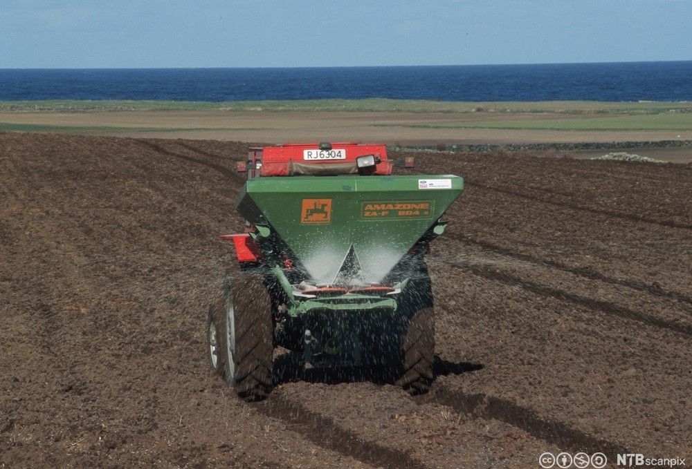 Rød traktor med grønn redskap bak der det spruter ut hvit granulat på et opparbeidet jorde. I enden av jordet er det grønn mark som går over i hav og himmel i horisonten. Foto.