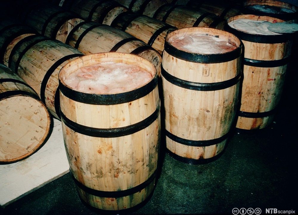 Store tretønner fylt med saltet torskerogn. Foto.