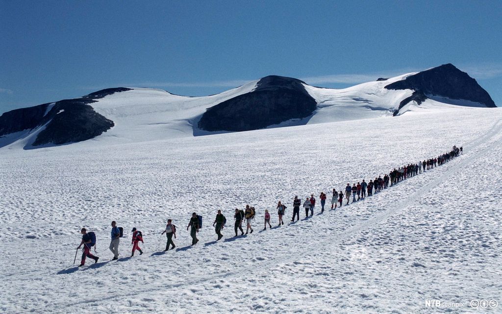Taulag krysser Styggebreen på ruta Galdhøpiggen - Juvvasshytta. Foto.