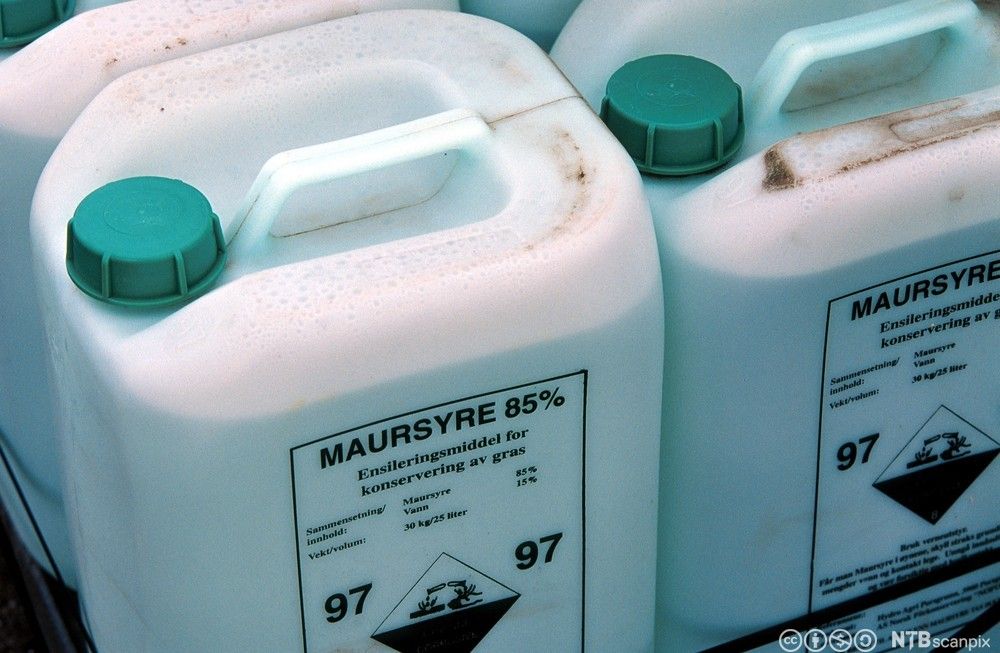 Fulle kanner med ensileringsmiddel for konservering av gras. Foto.