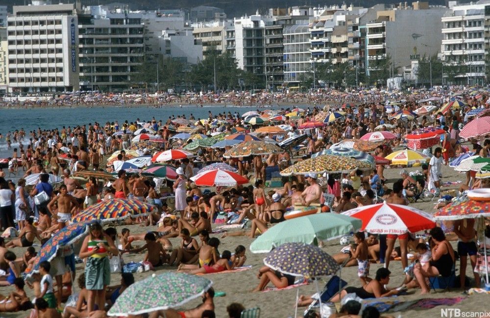 En overfylt sandstrand. Strandgjester ligger og står tett i tett, det er mange oppslåtte parasoller, og flere personer bader i sjøen. Foto.