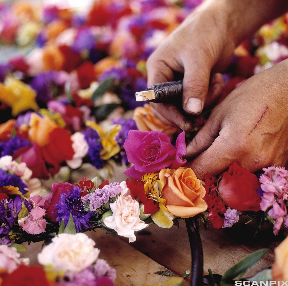 Blomster bindes sammen med ståltråd. Foto.