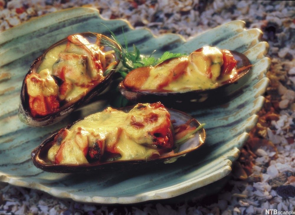 Gratinerte oskjell servert på tallerken. Foto.