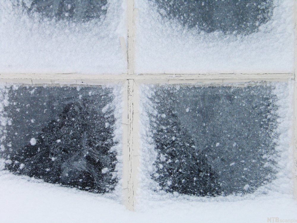 Vindu med snø og frost. Foto.