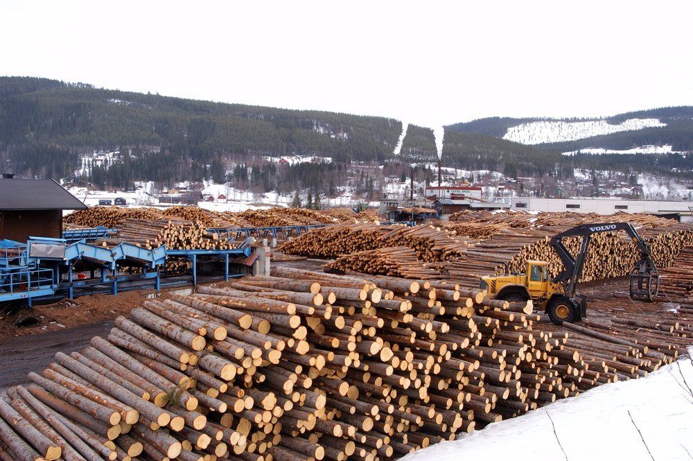 Tømmerlager. Foto.
