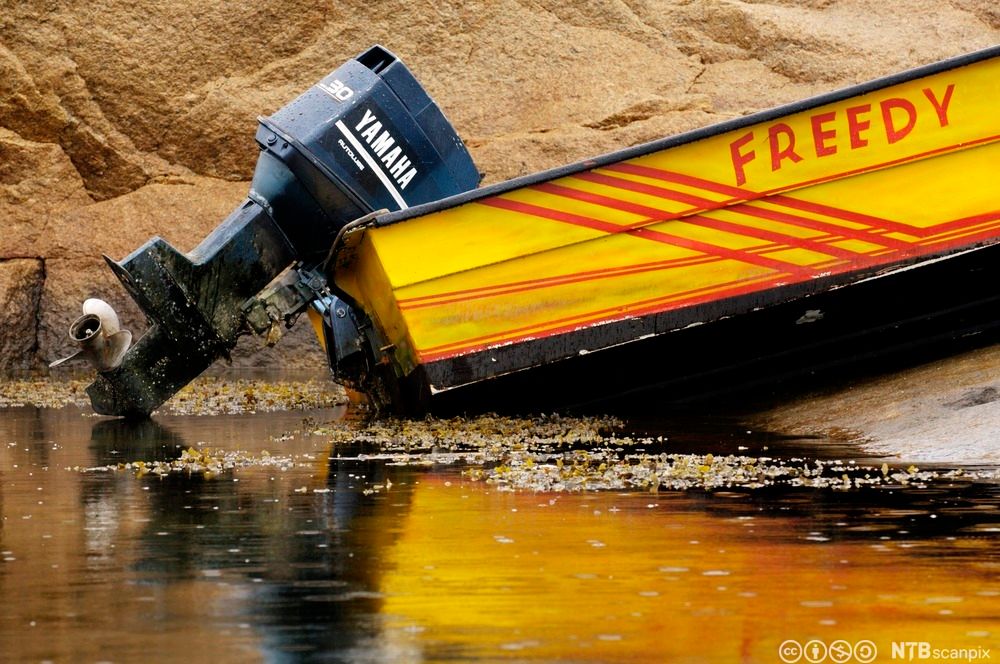 Påhengsmotor på gul båt. Foto