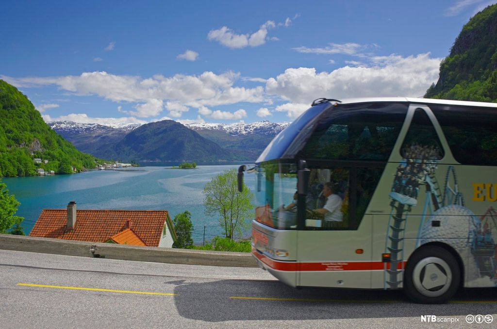 Turistbuss på vei i fjordlandskap med grønne lier og snødekte fjelltopper. Foto.