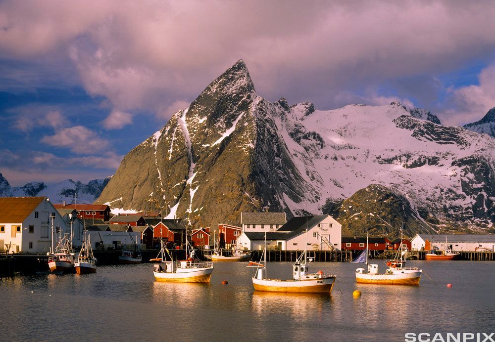 Fiskebåtar i vatnet framom eit snødekt fjell. Foto. 