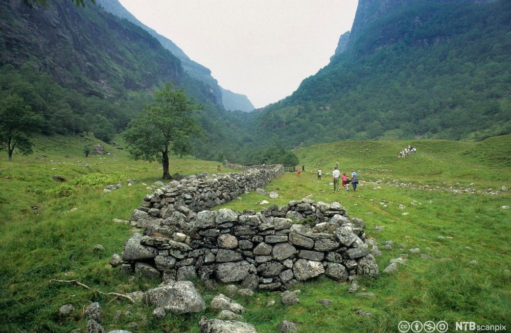 Steiner ligger som en lang mur i en gresskledd dal. Foto. 