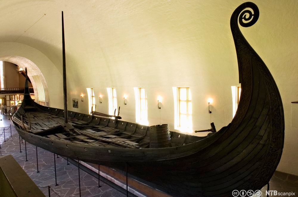Osebergskipet på Vikingskipmuseet på Bygdøy. Foto. 
