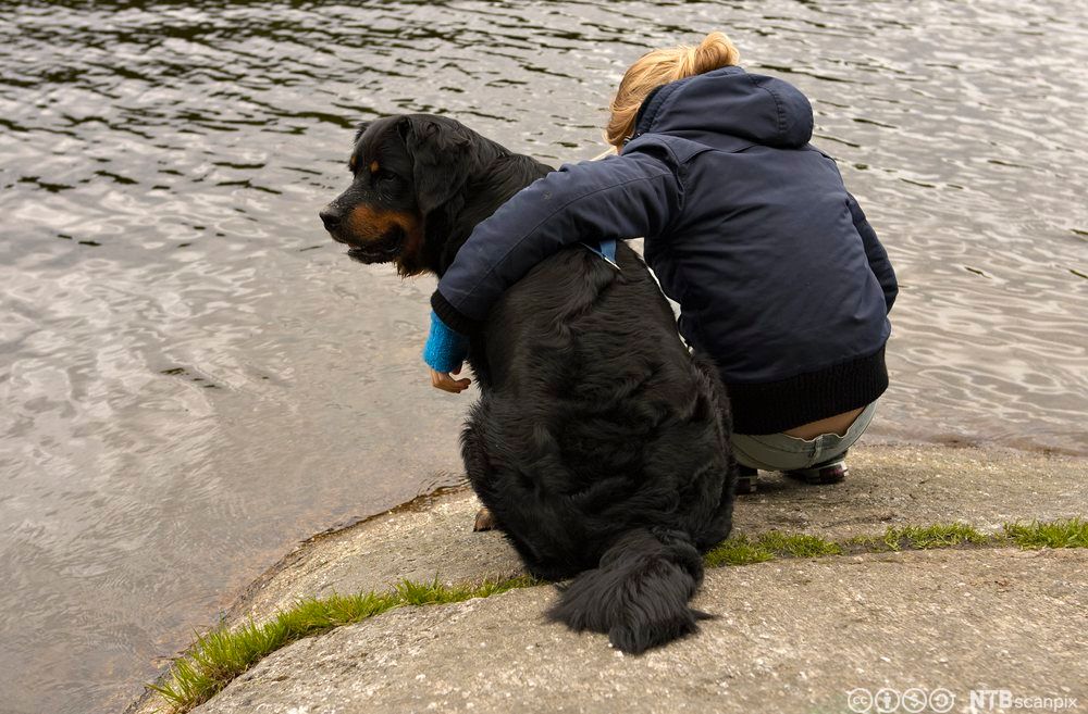 Ei kvinne sitter ved vannkanten og holder armen om en hund. Foto.