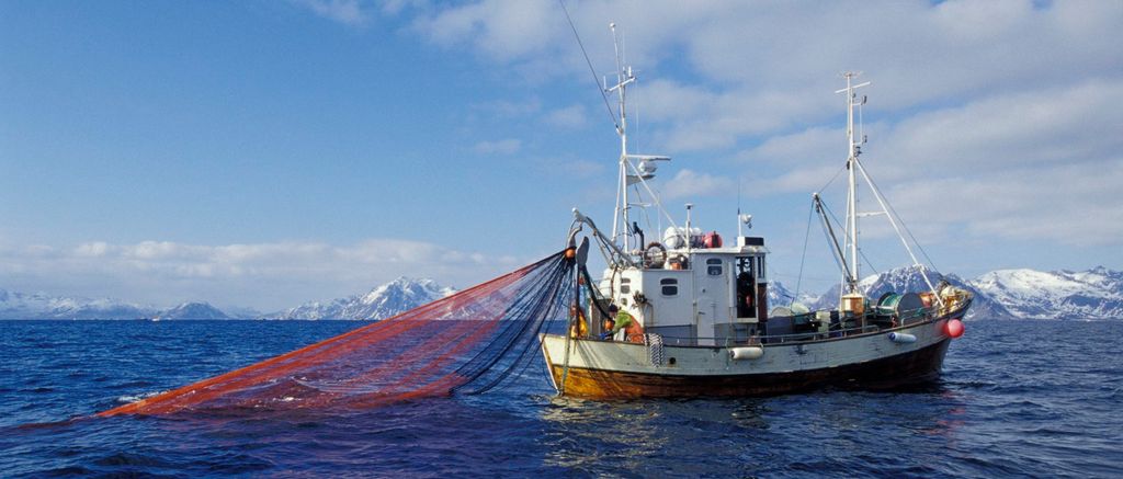 Fiskebåt med snurrevad. Foto.