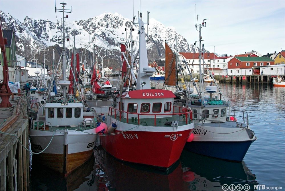 Fiskebåter side om side ved kai. Foto.
