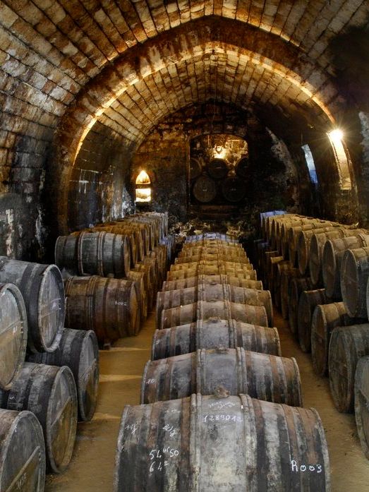 En vinkjeller der konjakk ligger til lagring i tønner. Foto.