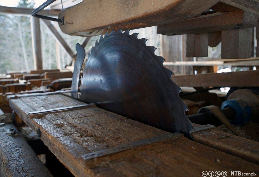 Nærbilete av sagblad. Foto.