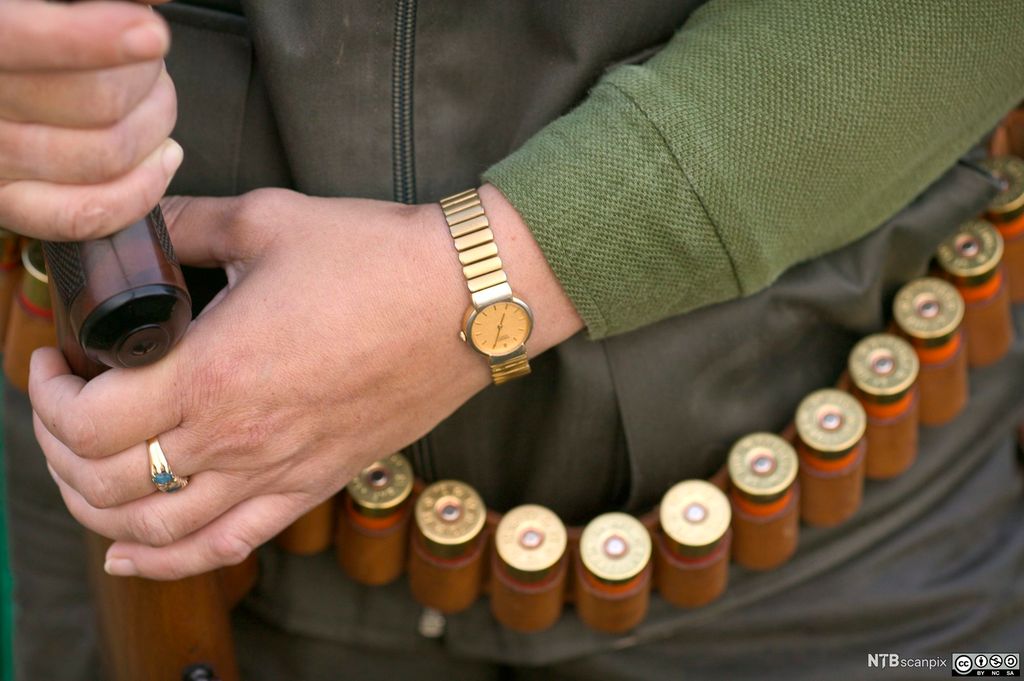 Haglpatroner i belte og to hender som holder ei hagle. Foto.