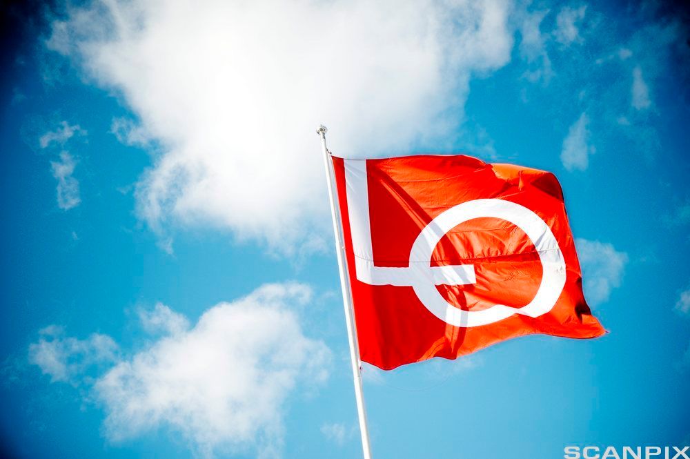 Flagg med logoen til LO. Foto.