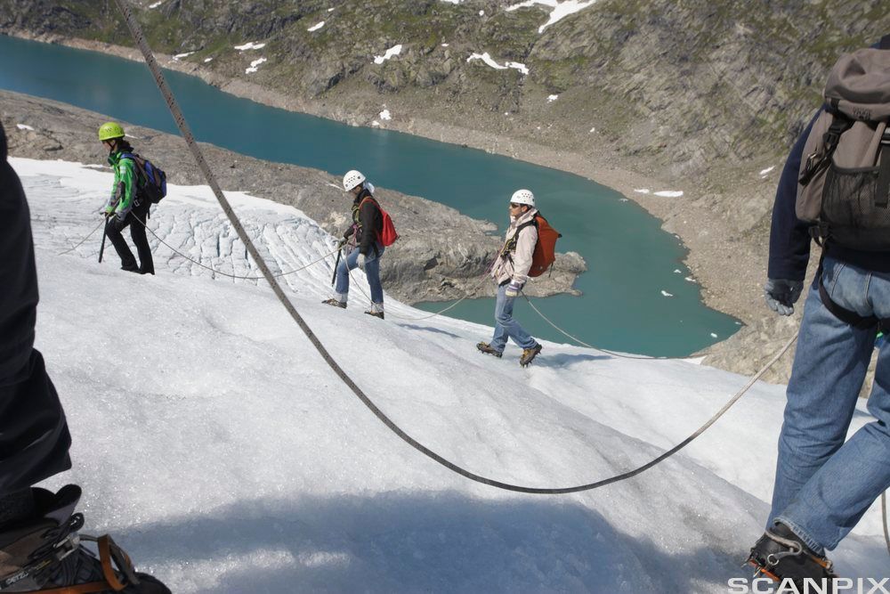 Gruppe med guide på en isbre. Alle er utstyrt med en sele festet til et felles tau, og de har hjelm og stegjern. Foto.
