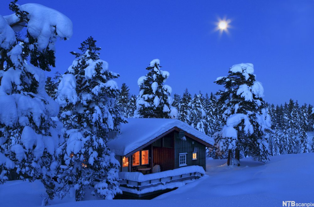 Hytte i vinterskog. Foto.