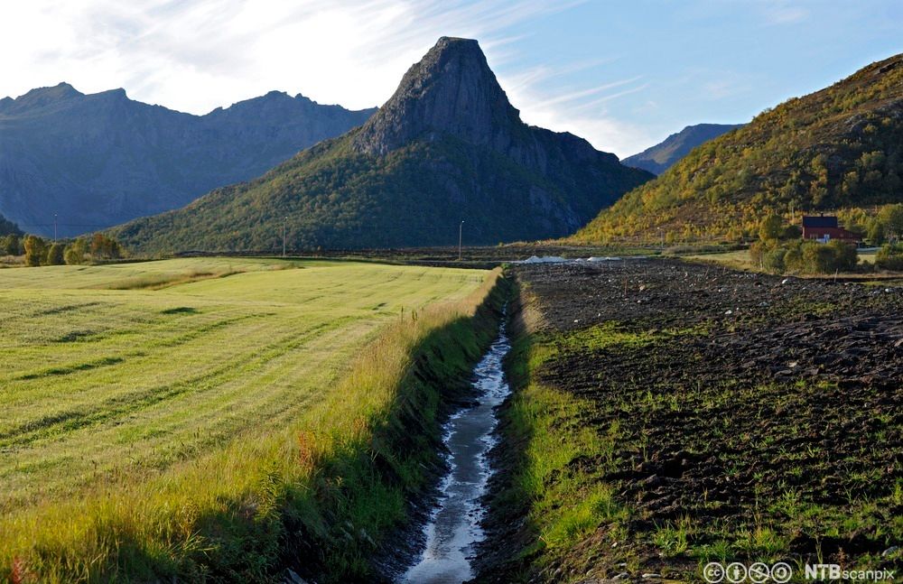 Grøft med vann. Det er eng på den ene sida av grøfta og mark med noe ugras på den andre sida. Landskap med høye fjell i bakgrunnen. Foto.