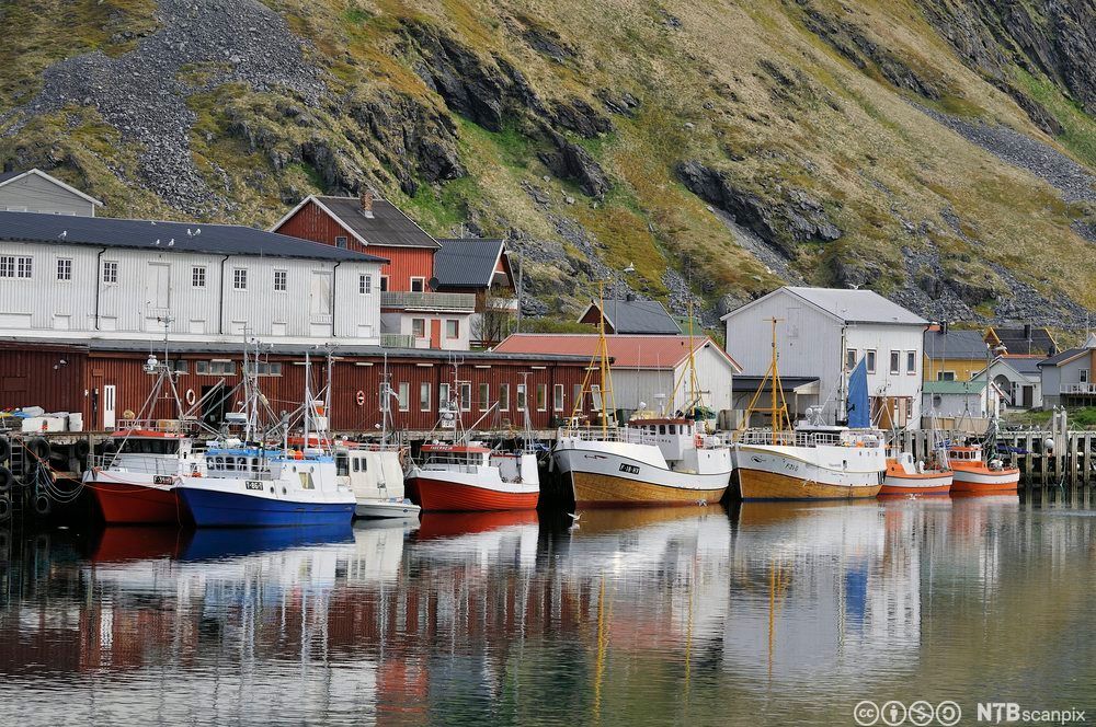 Fiskebåter ved kai. Foto