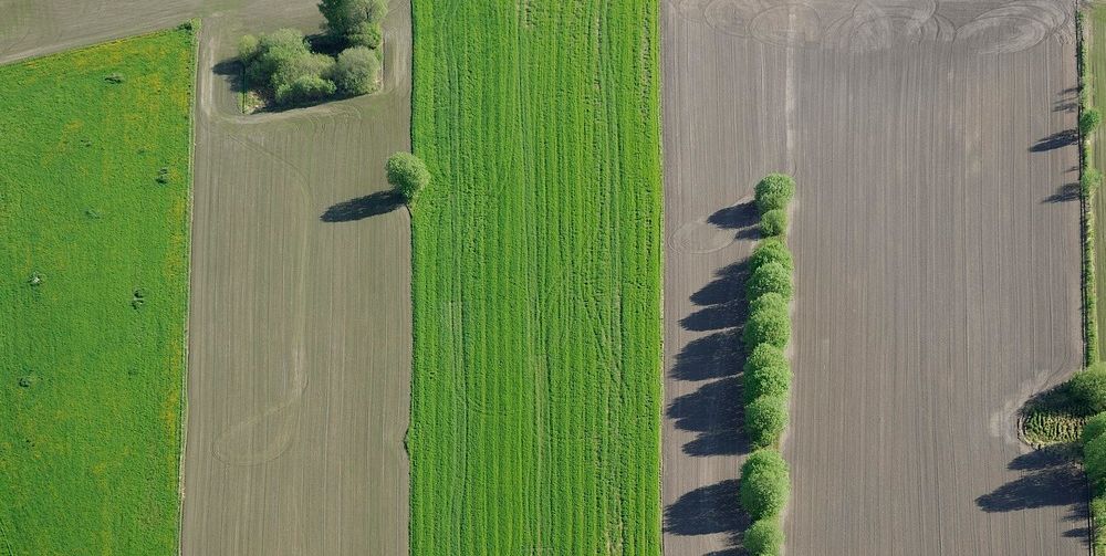 Nysådde jorder sett i fugleperspektiv. Foto