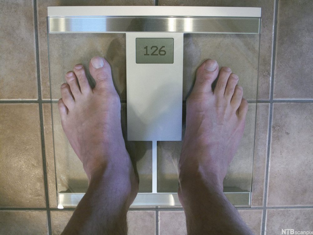 Guokte juolggi čužžot veavtta alde mii čájeha 126 kg. Govva.