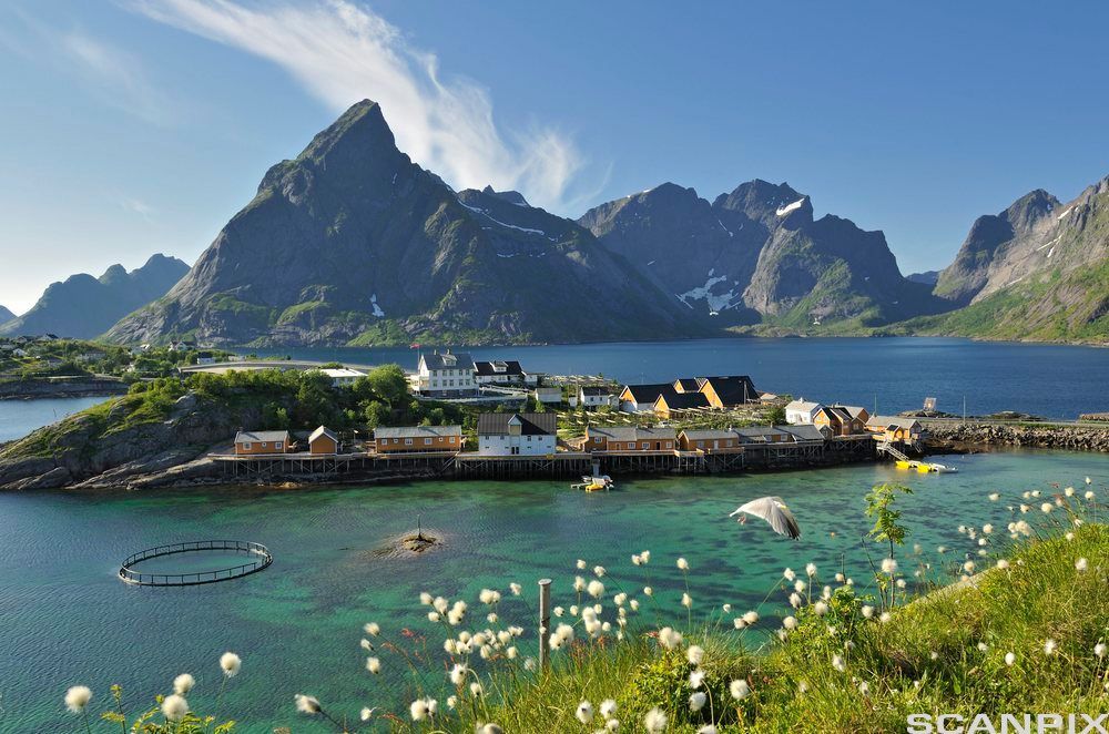 Lite sted med fjell i bakgrunnen og ei øy omringet av sjø og myrull i forgrunnen. Foto.