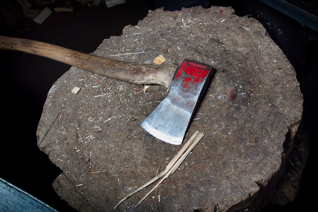 En øks med blod på på en hoggestabbe. Foto.