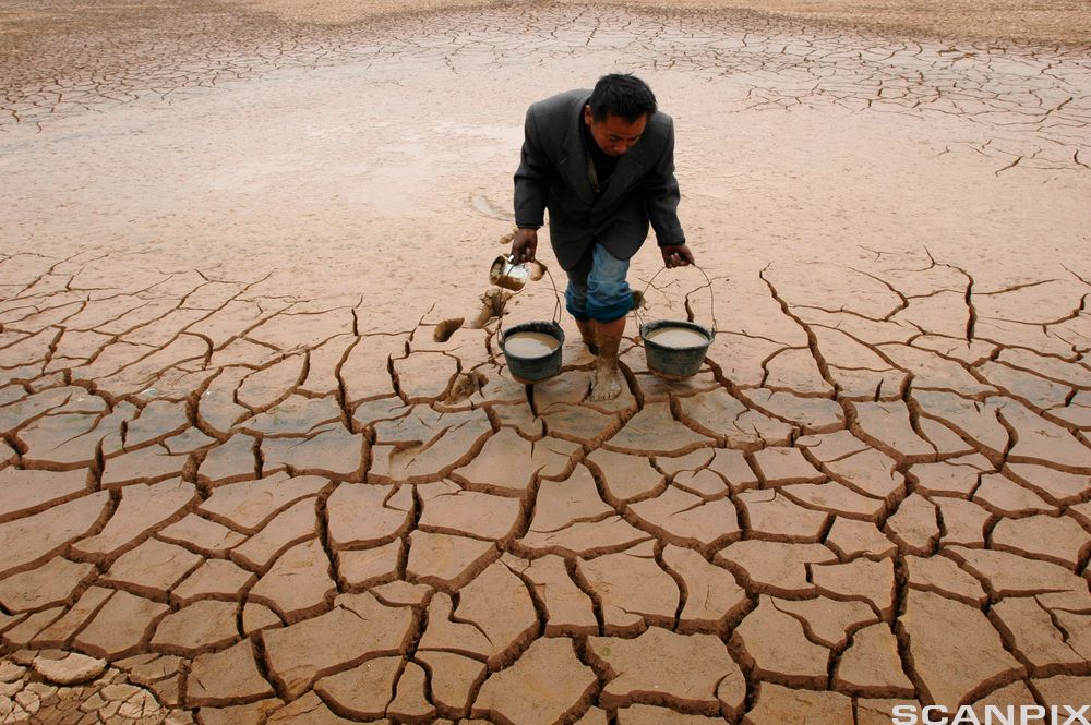 En kinesisk bonde henter vann fra enda en uttørket innsjø. Foto. 
