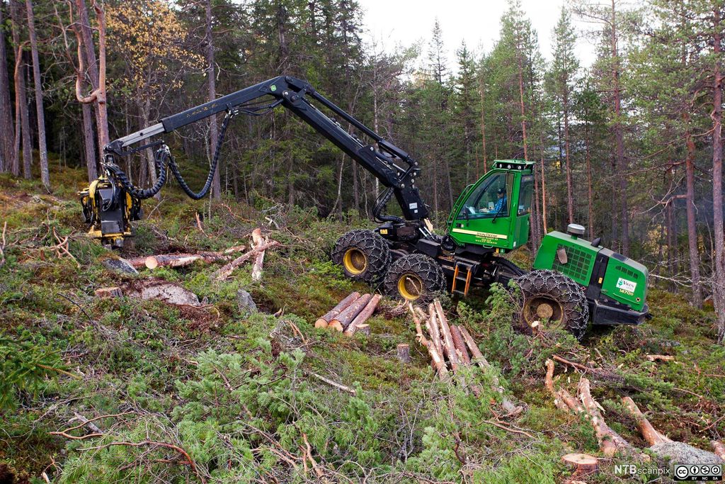 Skogsmaskin i arbeid. Foto.