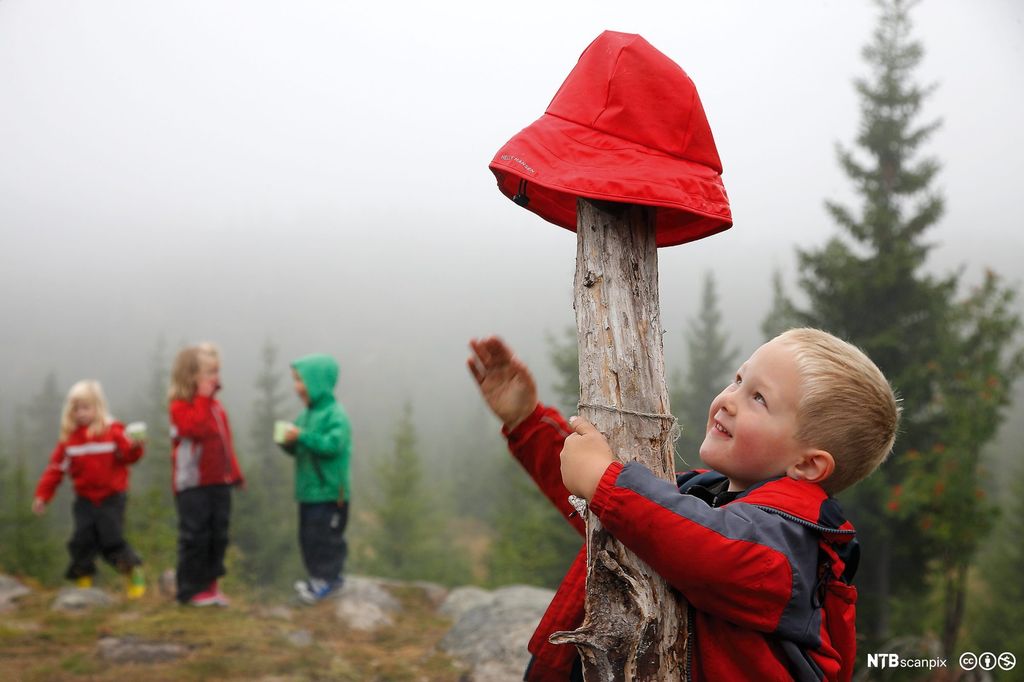 En liten gutt strekker seg for å få tak i en sydvest som henger på et tre. Tre andre barn står i bakgrunnen. Foto. 