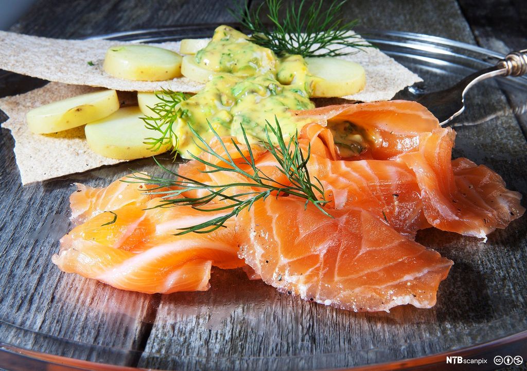 En tallerken med skiver av gravlaks, kokte poteter, ravigottesaus, dill og flatbrød. Foto.