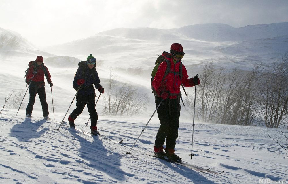 Tre personar går på skitur i den norske fjellheimen, gjennom eit forblåst og snørikt landskap. Foto.