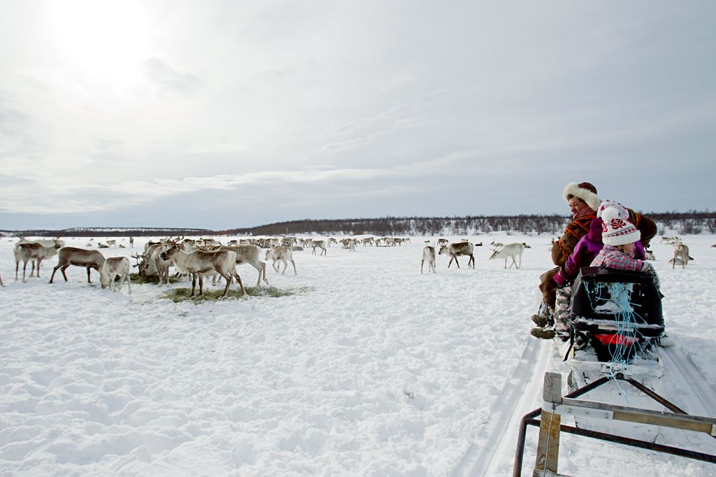 Same sjekker reinflokken med snøskuter. Foto.