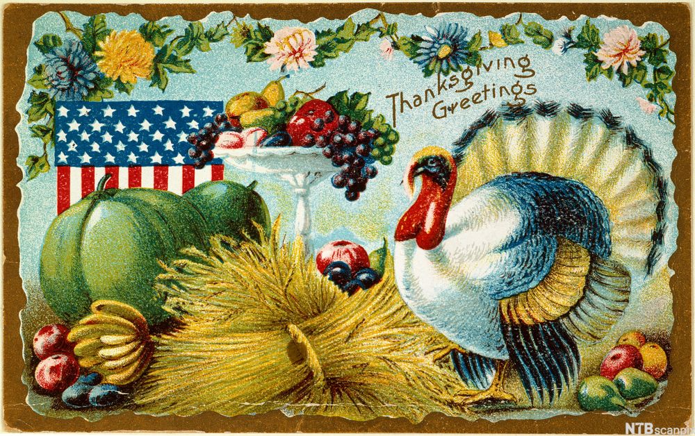 Et thanksgiving-kort med et maleri av en kalkun, kornaks, frukt, grønnsaker og det amerikanske flagget. Foto.