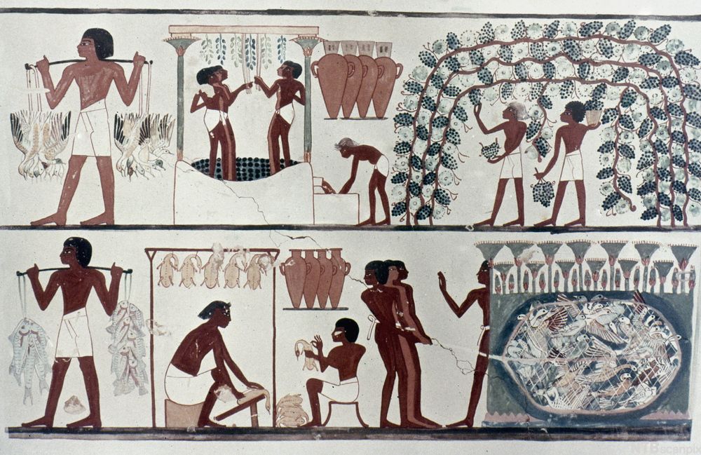 Egyptisk bildeserie som viser folk som gjør forskjellige arbeidsoppgaver for å skaffe mat. Illustrasjon.