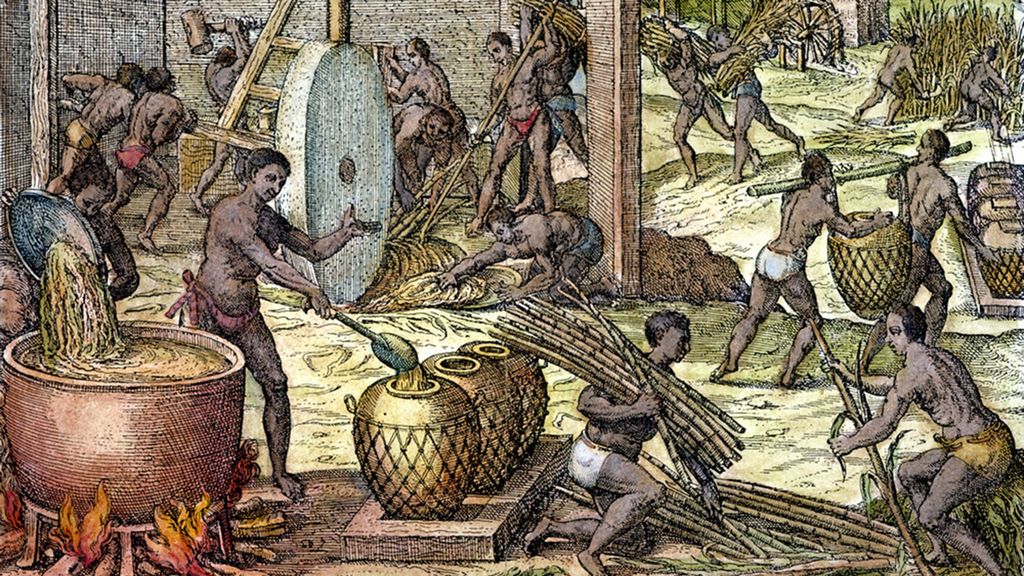 An illustration showing slaves working on a sugar plantation. Illustration by Theodore de Bry.