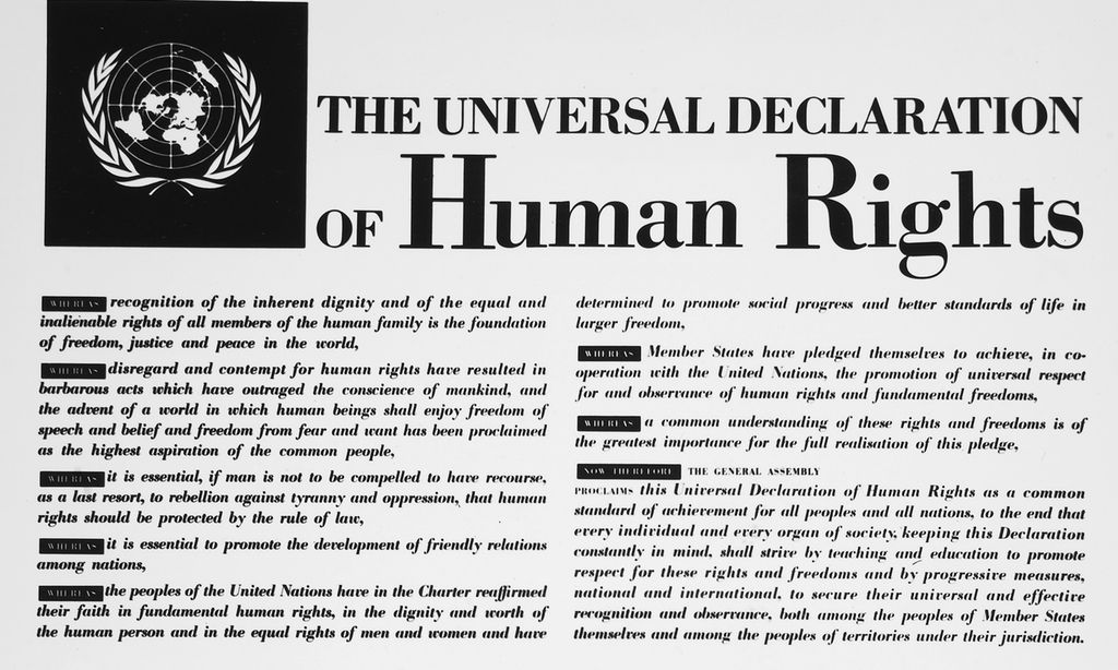 A printed document of the Universal Declaration of Human rights.