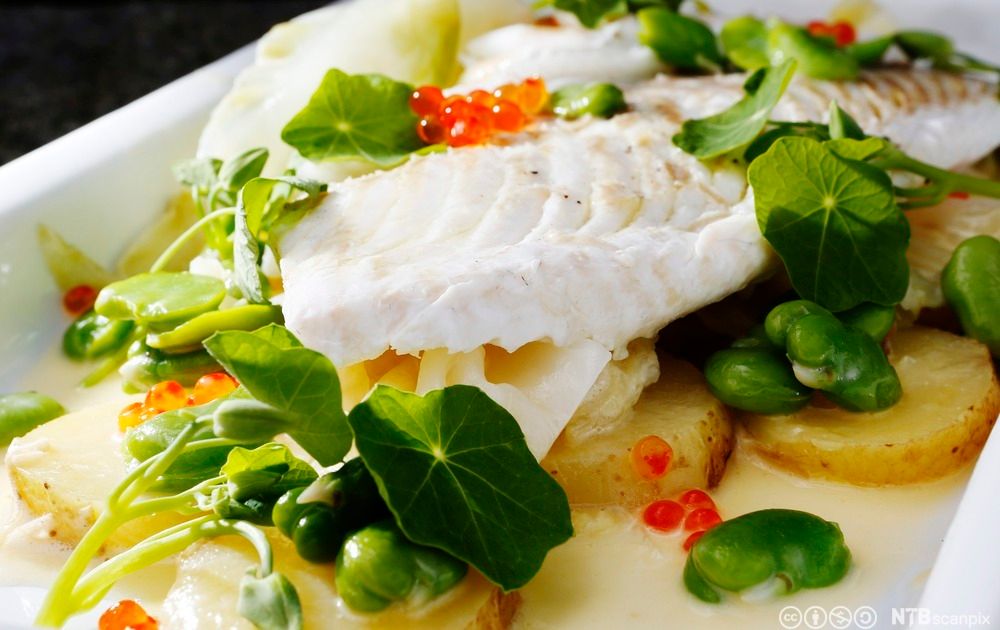 En tallerken med grillet piggvar, nypoteter, blomkarse og ørretrogn. Foto.