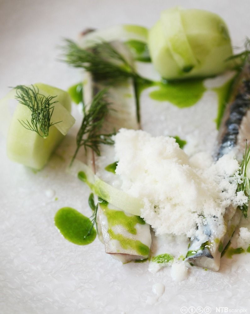 Bilde av en rett bestående av syltet makrell med agurk og dill. Foto.