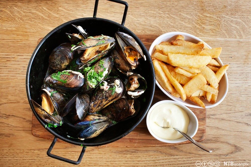 Moules-frites, blåskjell og pommes frites. Foto.
