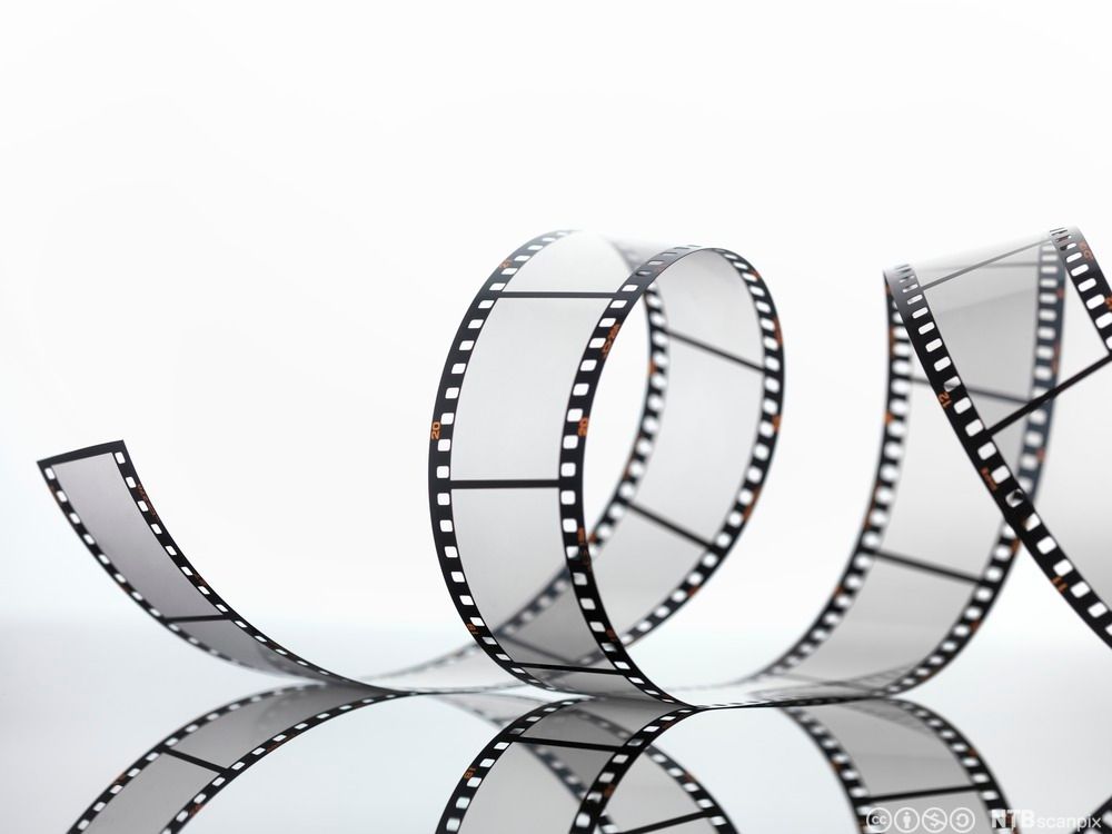 En filmrull delvis kveilet opp. Sort-hvitt-foto.