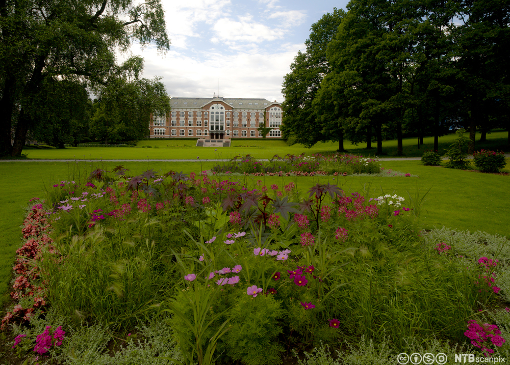 Grønt parkområde. Blomsterbed i forgrunnen, flott gammal skulerbygning og tre i bakgrunnen. Foto.